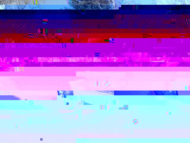 DSC00323.JPG