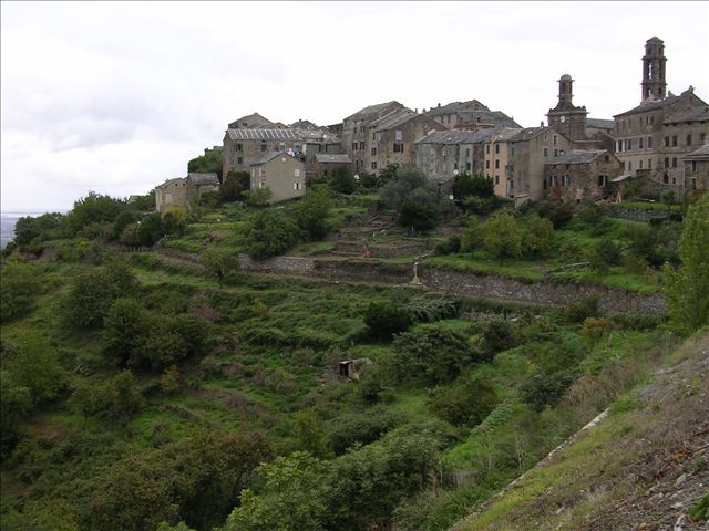 DSCN2355 (Petite).jpg