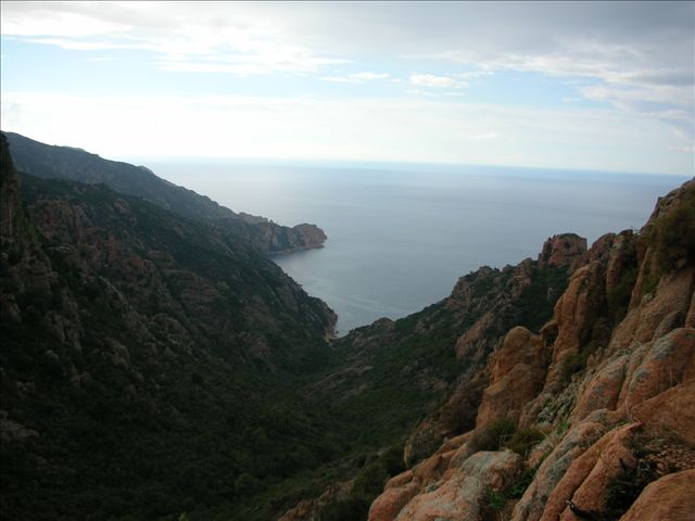 DSCN0542 (Petite).jpg