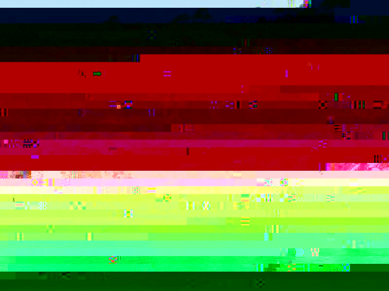 cas7.jpg