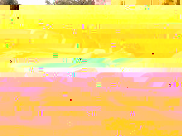 18553_1341638627788_1435865722_30993404_2007339_n.jpg