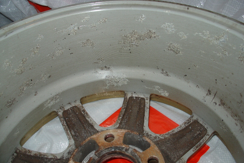 j5.jpg
