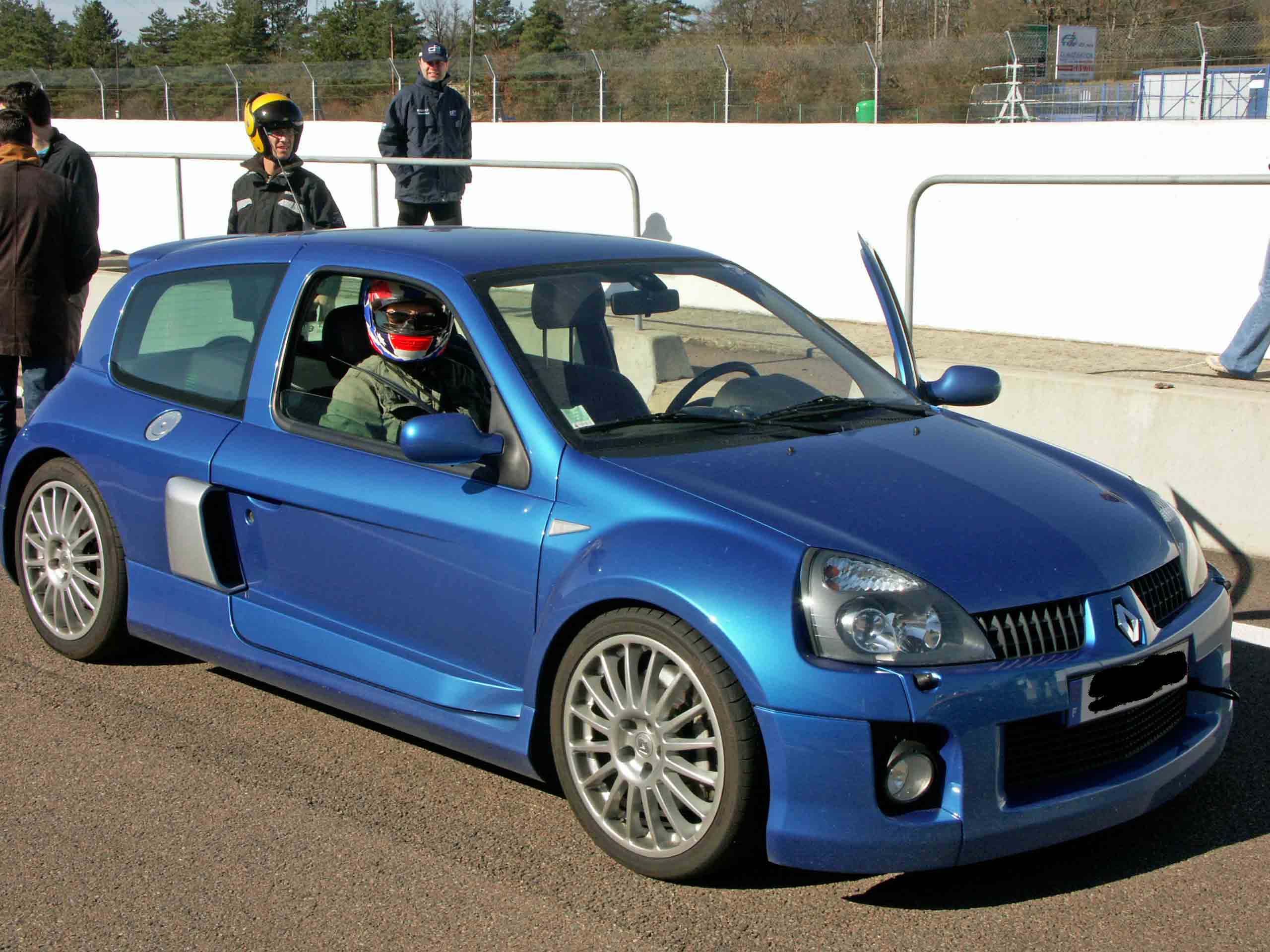 olive2.jpg