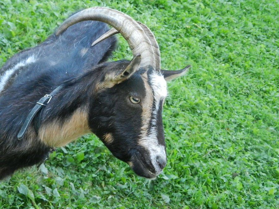 DSCN5413.JPG