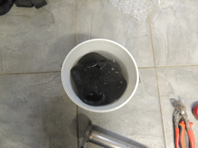 DSCN4463.JPG