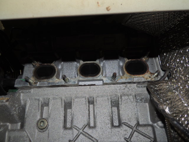 DSCN4485.JPG