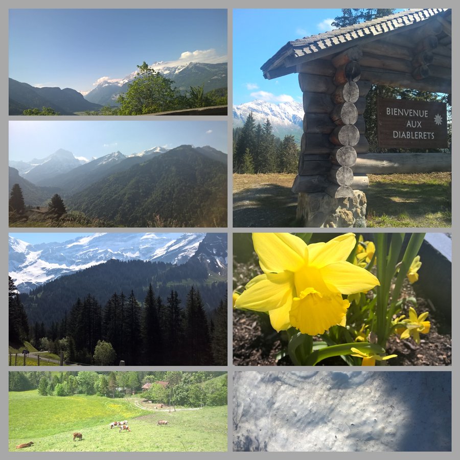Phototastic-25_05_2015_8a7e7281-f0da-4c70-9eec-8b1e663b59a0.jpg