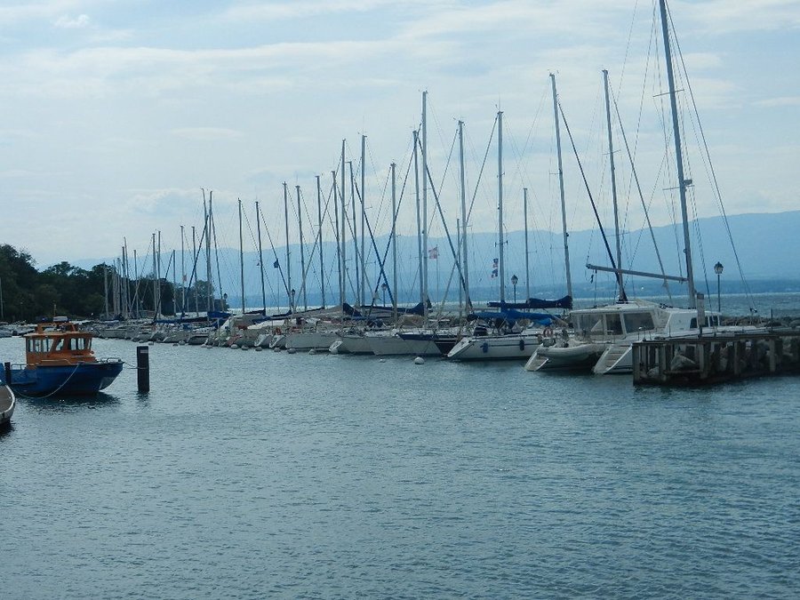 DSCN7306.JPG