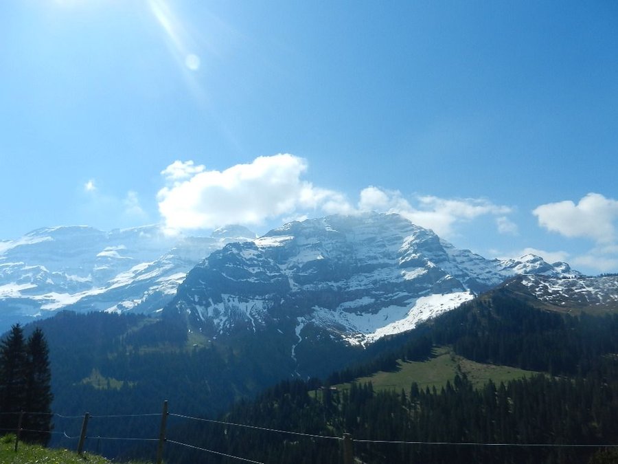 DSCN7414.JPG