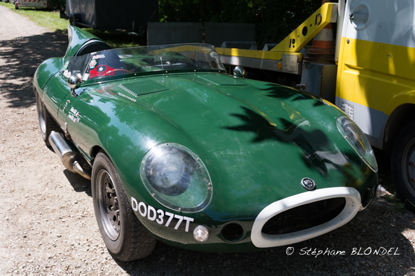 AHF 2015-4985.jpg