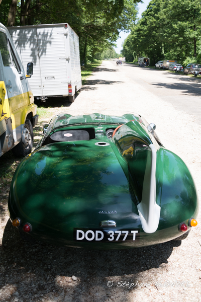 AHF 2015-4988.jpg
