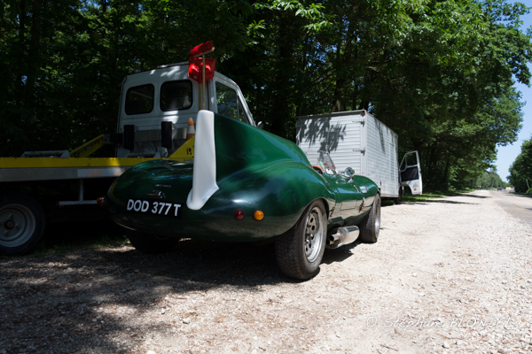 AHF 2015-4993.jpg