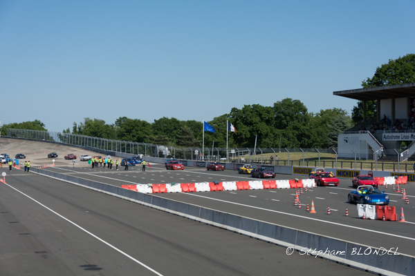 AHF 2015-5660.jpg