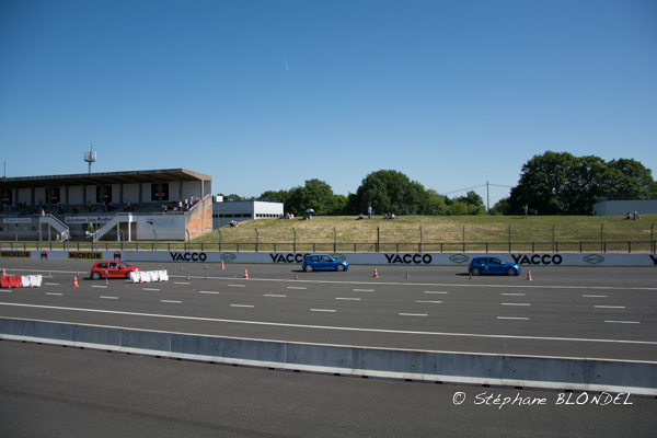 AHF 2015-5666.jpg