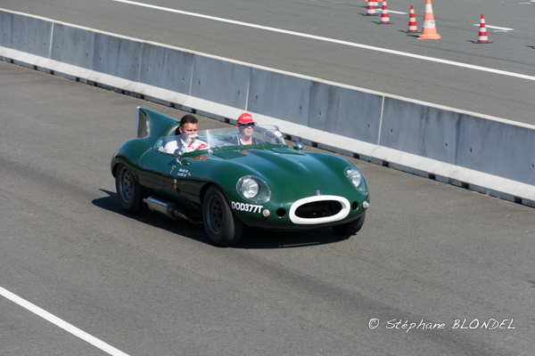 AHF 2015-5705.jpg