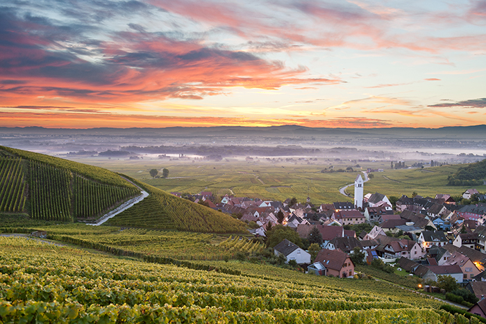 Route-Vins-Alsace.jpg