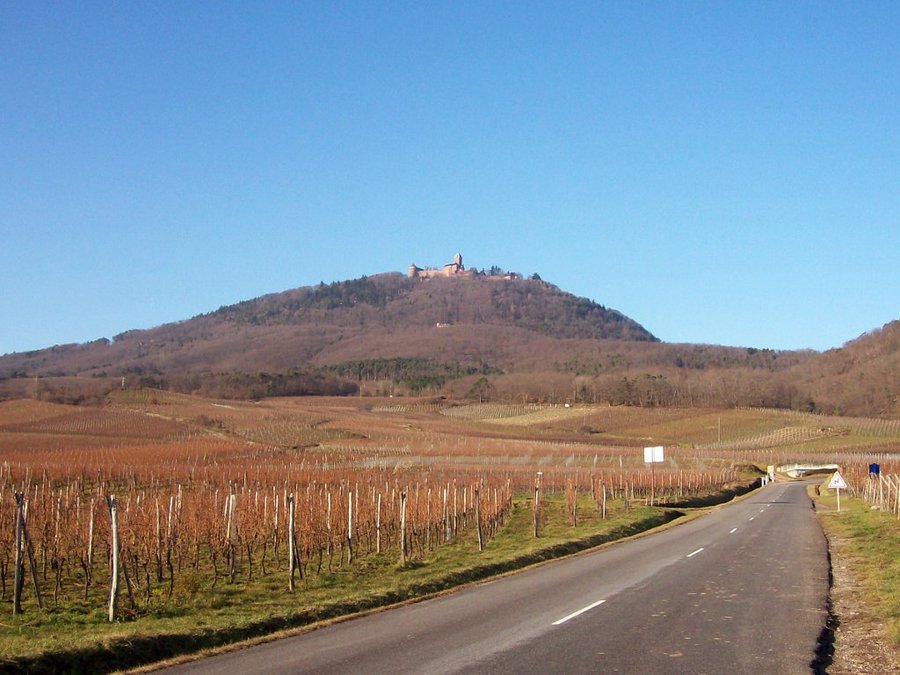 photo_chateau_haut_koenigsbourg_alsace_543.jpg