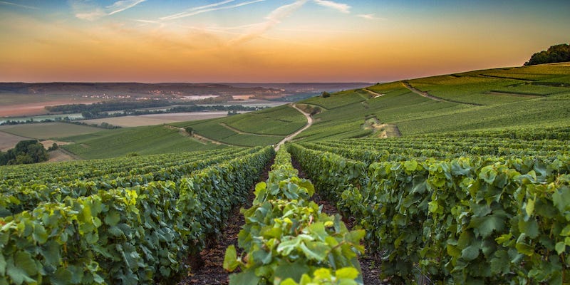 Sur la route du Champagne.jpg