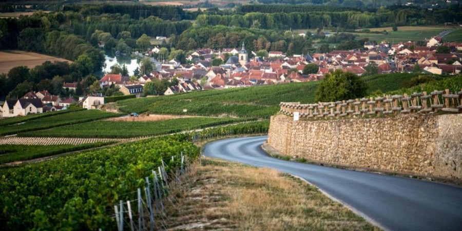 champagne-vignes-terroir.jpg