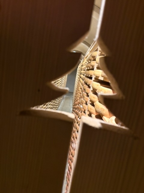 IMG_0281.jpeg