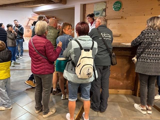 Dégustation de Comté