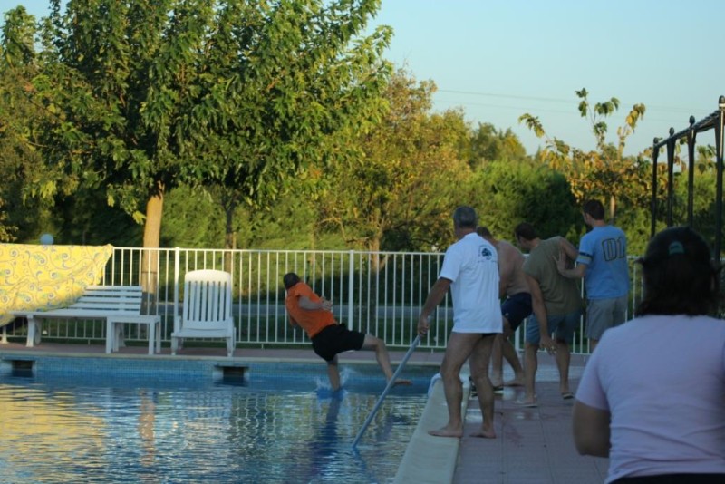 MALIBU A LA PISCINE.jpg