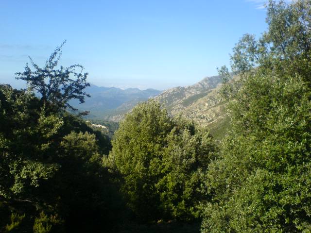 DSC00683.jpg