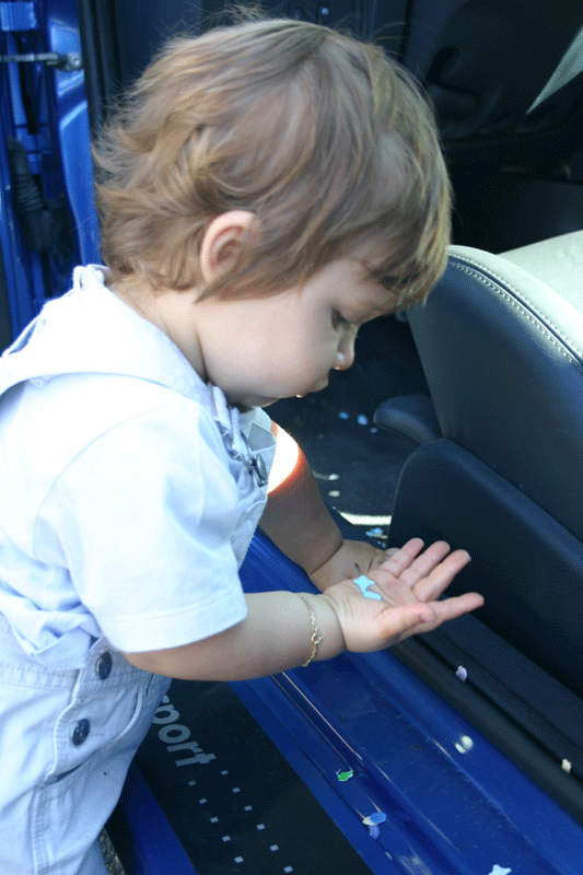 IMG_0047-2.gif