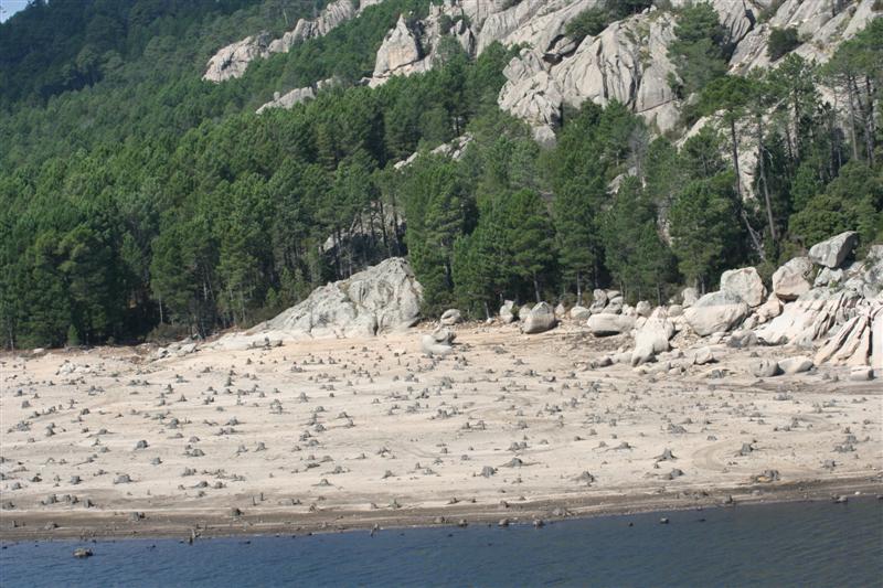 paysage24 .JPG