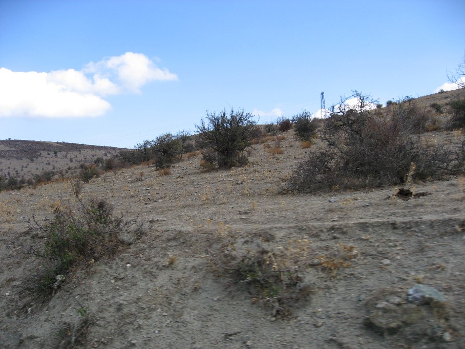 paysage24.JPG