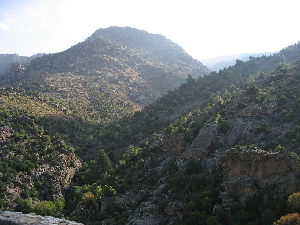 paysage9.JPG