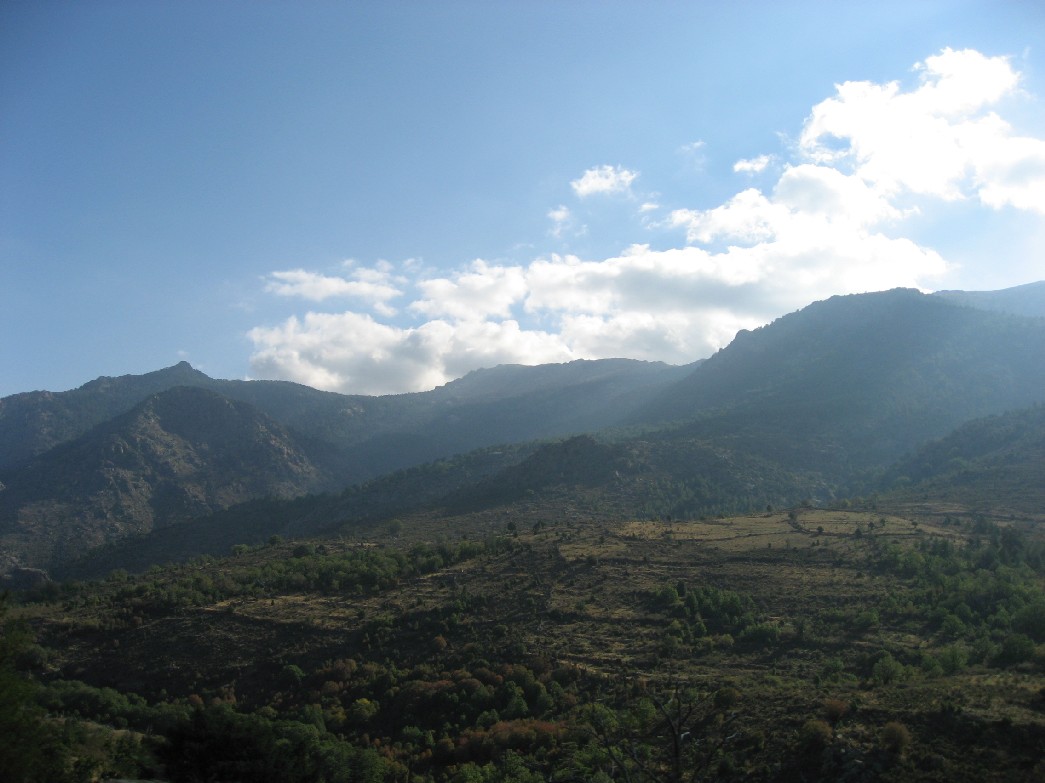 paysage 89.JPG