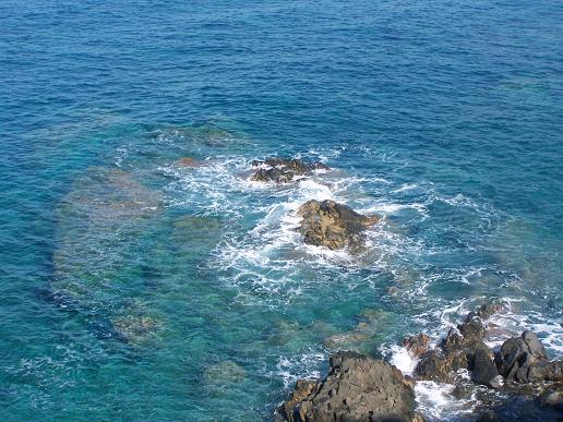 paysage 1.jpg