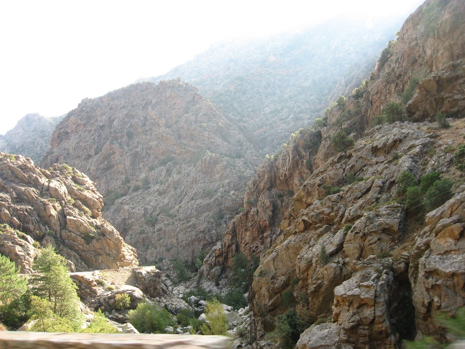 paysage89.JPG